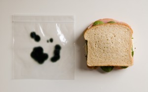 Bag with Sandwich